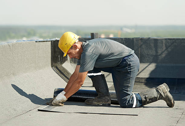 Best Home Insulation Services  in Riverbend, WA